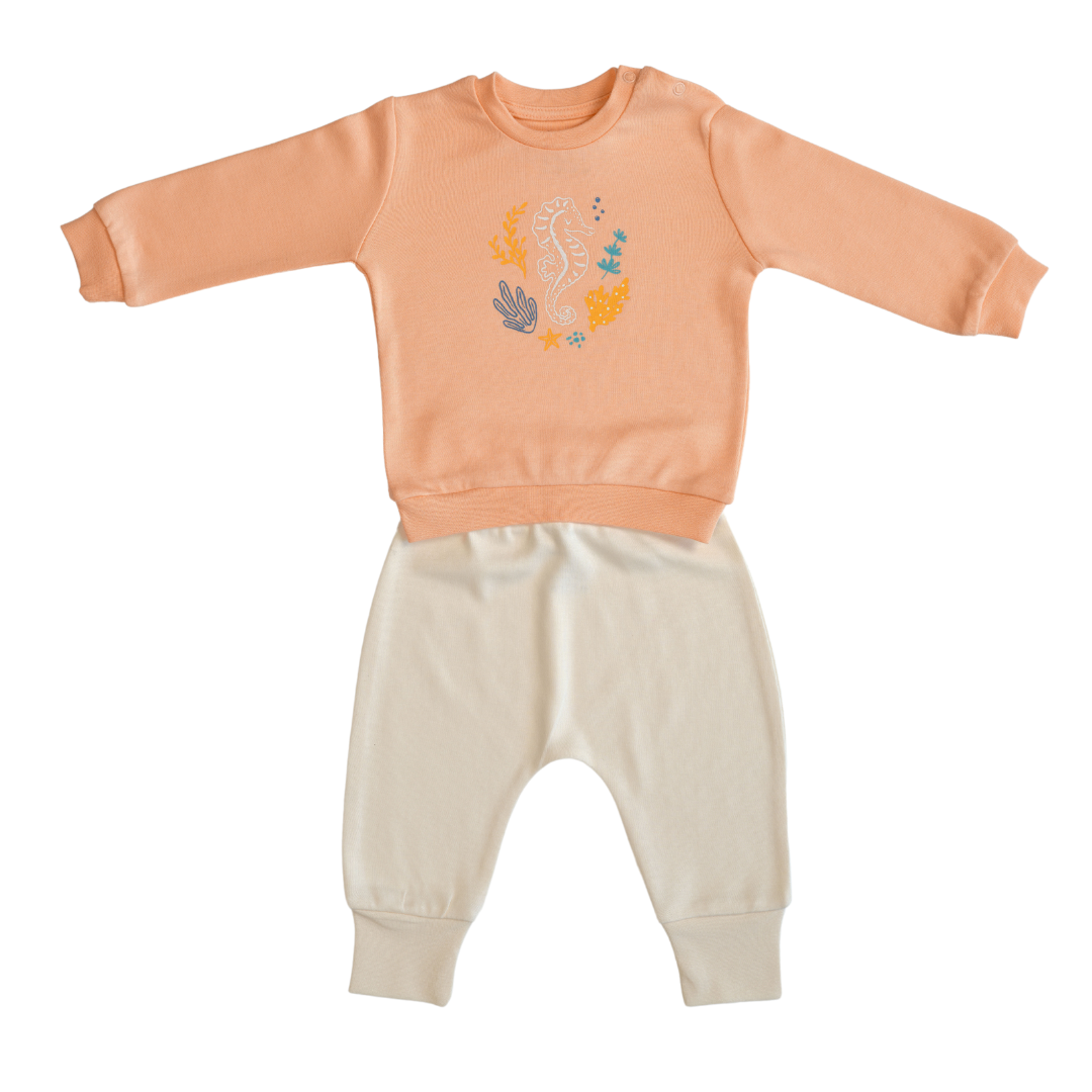 Organic Sweatshirt & Organic Baby Panties